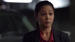 Who remembers agent malik? Was she forgettable in your opinion? :  r/TheBlackList