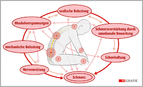 Muskeln Und Gelenke Wenn Jede Bewegung Schmerzt Pz Pharmazeutische Zeitung