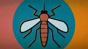 Zygzak mcqueen noc w muzeum: Skeeter Syndrome What To Do About Allergic Reactions To Mosquito Bites Everyday Health