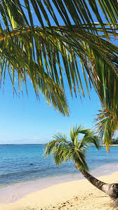 Browse all wallpapers tagget with this tag: Download These Scenic Hawaii Wallpapers For Your Phone Hawaii Magazine