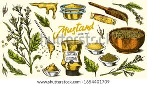 From the fun pop of texture to the subtle tones of horseradish, this versatile coarse ground mustard is as much a healthy addition of instant flavor to your recipes as it is a delicious condiment to make any dish. Silver Spring Foods Dijon Mustard Smooth Creamy Full Body Mustard Png Stunning Free Transparent Png Clipart Images Free Download