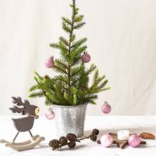 Warum stellen wir uns zu weihnachten einen nadelbaum ins wohnzimmer und schmücken ihn mit süßigkeiten und dekorationsgegenständen bis hin zur berühmt wie kam man denn überhaupt dazu, einen baum zu schmücken und ins haus zu stellen? Weihnachtsbaum Oh Weihnachtsbaum Artfleur