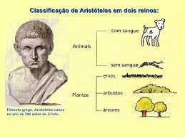 Lineu dividiu os seres vivos em categorias ou níveis de classificação e atribuiu a cada um dos seres vivos uma nomenclatura binomial (termos do latim). Microbiologia Ifrj Campus Rio De Janeiro Classificacao Dos Seres Vivos Staphylogroup