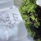 Seed Saving and Winter Sowing: Sally Rossi-Ormon event image
