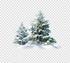 Snow coated ground, arctic sky snow pattern, snow, white, winter, christmas snow png. Christmas Black And White Christmas Day Snow Christmas Tree Snowflake Fir Christmas Decoration Balsam Fir Transparent Background Png Clipart Hiclipart