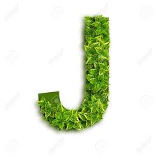 Huge collection, amazing choice, 100+ million high quality, affordable rf and rm images. Letter J Alphabet Of Green Leaves Isolated On White Background Stock Photo Picture And Royalty Free Image Image 15402817