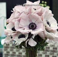 Wholesale Anemones Buy Anemones Wedding Flowers By Wholeblossoms Com Diy Wedding Flowers Pink Wedding Flowers Light Pink Wedding