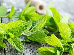 However, there is some research that mint, in general, can improve oral health, increase exercise performance, combat inflammation and soothe digestive troubles, among other things. Mint Benefits Nutrition And Dietary Tips