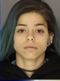 Fundraiser for Pregnant Mother of Three Killed in Portage Park