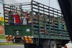 Check spelling or type a new query. Jkn Kedah Sahkan Arah Pekerja Kilang Proses Ayam Dibawa Ke Pkd Astro Awani