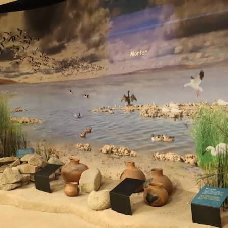 Permanent Exhibits | Imperial Valley Desert Museum