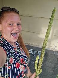 Identify suspicious person at my house?