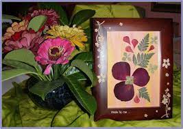 Ime je dobila po nemačkom botaničaru difenbahu.poznato je oko tridesetak vrsta, ali samo nekoliko može se gajiti u sobnim uslovima. Suvo Cvece Made By Me