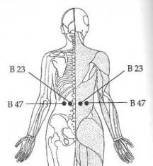 Massaging the spot relieves pain in the lower back and tones weak. 6 Self Acupressure Points To Relieve Back Pain Blue Tree Massage
