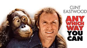 Bass Cave with Ryan Salzman