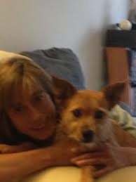 Stephanie Harris Obituary (1967