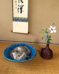 9月の花 茶花 花材 ムクゲ ニンジンボク フジバカマ 器 虫籠 猫 ぽっぽ 暮らしの中のいけばな 嵯峨御流 花と語らう decorative tray decor home decor
