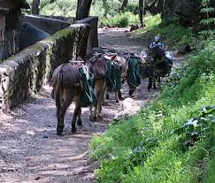 Unlike most hikes, you will start hiking on a steep incline going down first. Chantry Flats Cabins How Did They Get Here Canyon Cartography