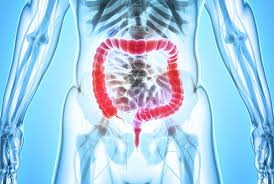 There are dozens of parkinson's disease symptoms, and they vary by individual. Maladie De Parkinson L Appendice En Ligne De Mire Planete Sante