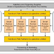 Operational Structure Of Small Scale Fish Farming Project