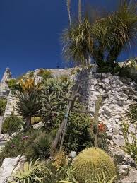 Photographic Print Botanic Garden Jardin Exotique Eze Village Alpes Maritimes Provence Cote D Azur France By Sergio Pitamitz 24x18in Botanical Gardens Garden Framed Art