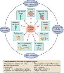 Incidence, clinical features, laboratory testing delayed thrombocytopenia after treatment with abciximab: Biomarkers Of Chronic Inflammation In Disease Development And Prevention Challenges And Opportunities Nature Immunology
