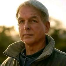 Watching CSI:NY and Peter DeLuise is in this episode. s1e15