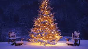 Hogwarts Christmas Hd Wallpapers On Wallpaperdog Discover stunning winter images for your wallpaper or project. hogwarts christmas hd wallpapers on