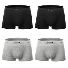 Wirarpa Mens Underwear Trunks 4 Pack Micro Modal Boxers