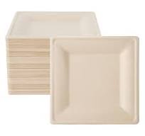 Amazon.com: ECOLipak 125 Pack Compostable Square Paper ...
