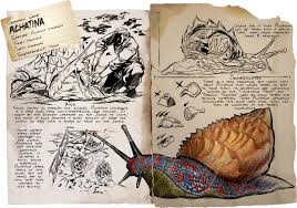 When marina (a magician student loyal to the empress) and her. Mollusks Journal Of Geek Studies