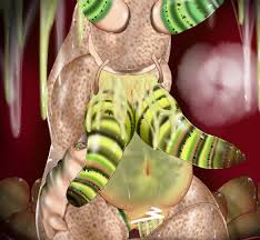 Slug Parasite hentai videos, GIFs, and images | Rule 34 App