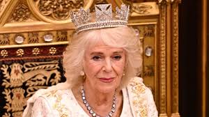 Queen Camilla Can't Escape Plastic Surgery Rumors