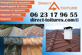 Direct Toiture Toiture Reparation Toiture Sous Toiture