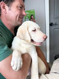 Bernedoodles first round of shots and vet checks.