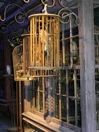 Hedwig was an eleventh birthday gift from rubeus hagrid to harry. Diagon Alley Eeylops Owl Emporium Harry Potter Studio To Flickr