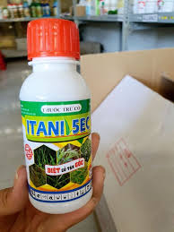 Itani 5EC