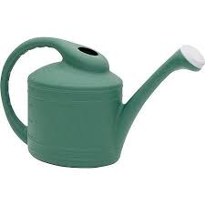 Southern Patio Wc8108fe 2 Gallon Plastic Watering Can Plant Watering Can Plastic Watering Can Watering Can