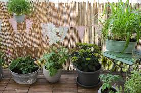 Pin Auf Home Green Love