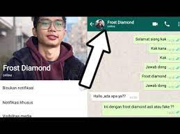 Check out our fairy frost diamond selection for the very best in unique or custom, handmade pieces from our shops. Nomor Wa Frost Diamond Asli 2020 Youtube