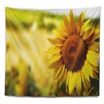 $40 off your qualifying first order of $250+1 with a wayfair credit card. Sunflower Tapestry Wayfair