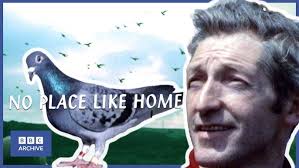 Video 59: Frank & Anne Tasker of Lincolnshire: Premier Pigeon Racers