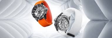 Image result for diving watch