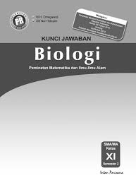 Laju respirasi ikan meningkat (cepat) saat terjadi kenaikan suhu air dan akan melambat (turun) ketika terjadi penurunan suhu dari suhu awal air. Sistem Pernapasan Pada Manusia Dan Hewan Pdf Download Gratis