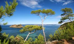 Shuttle Boat To Porquerolles And Port Cros From Toulon