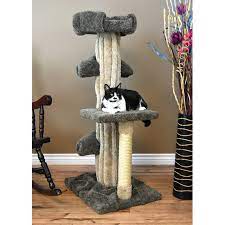 Prestige Cat Trees 51 In Unique Cat Play Tree Green Unique Cats Diy Cat Tree Unique Cat Trees