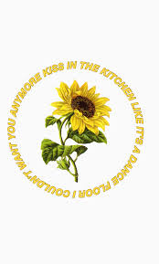 Sunflower Harry Styles Fine Lind Lyrics In 2020 Style Lyrics Harry Styles Harry Styles Wallpaper
