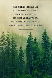 Nature Quotes For The Wandering Soul Nature Quotes Inspirational Nature Quotes Peace Quotes