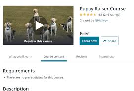 Prenez des cours de couture en ligne! Meilleurs Cours De Dressage De Chiens En Ligne Gratuits Pour Enseigner A Votre Chiot De Nouvelles Astuces Dz Techs