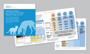 Creatinine is needed for international renal interest society (iris) staging of ckd, so it remains important for clinical characterization of ckd patients. The International Renal Interest Society Adds The Idexx Sdma Test To Chronic Kidney Disease Guidelines Idexx Canada